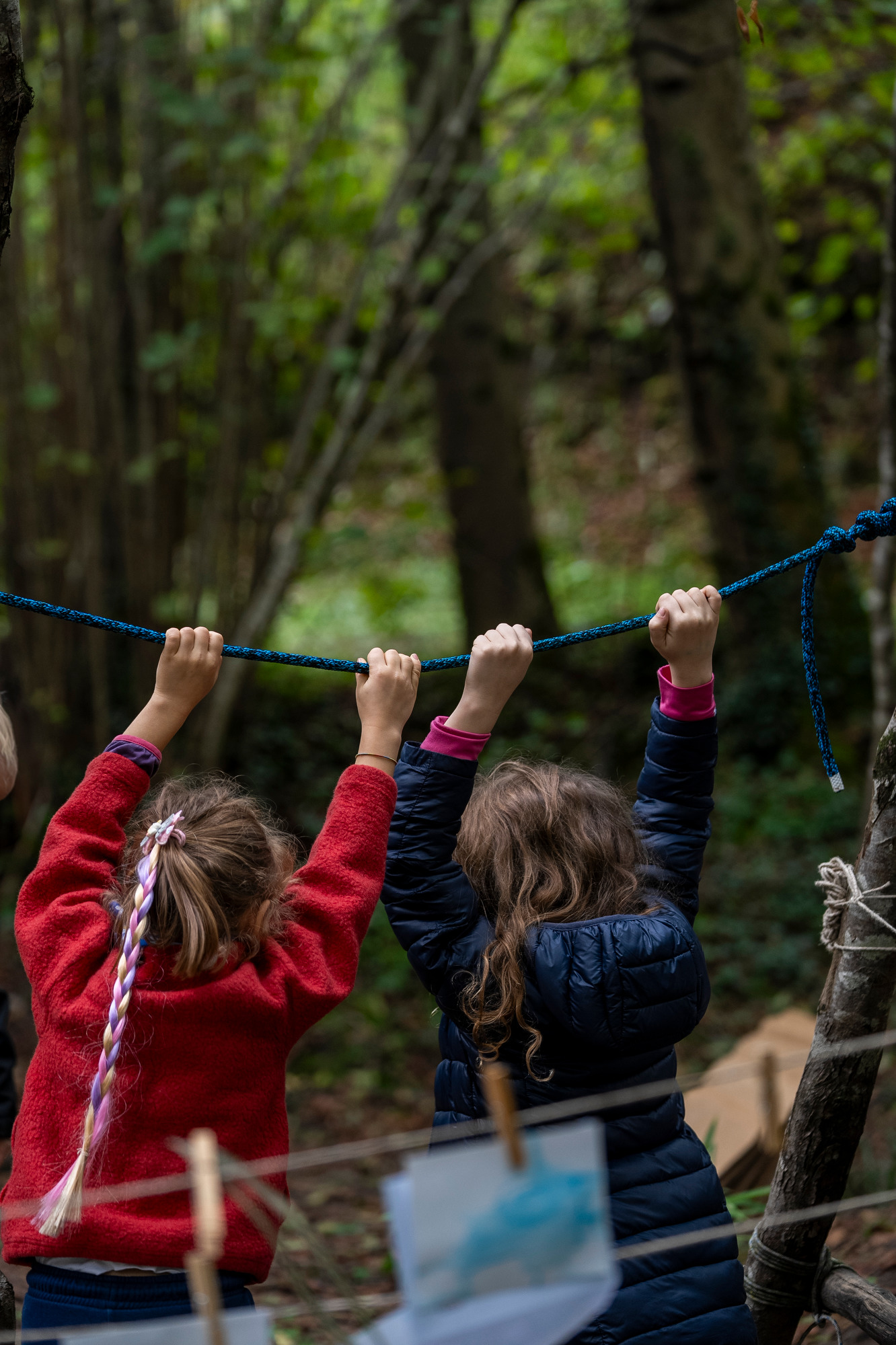 bambini giocano appesi ad una corda nel bosco